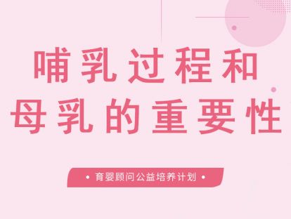 哺乳的过程和母乳的重要性