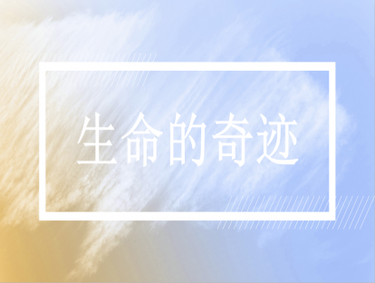 冥想·生命的奇迹
