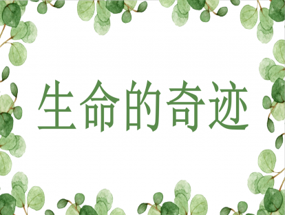 生命的奇迹