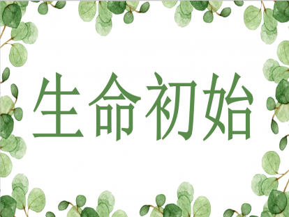 生命初始