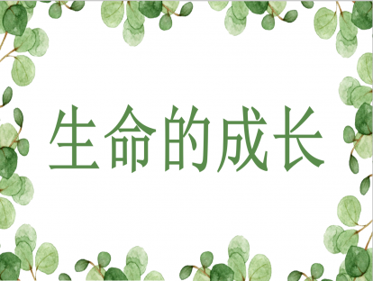 生命的成长