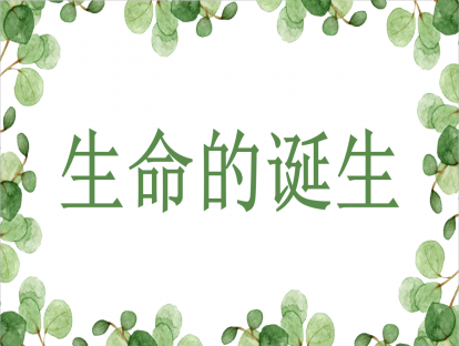 生命的诞生