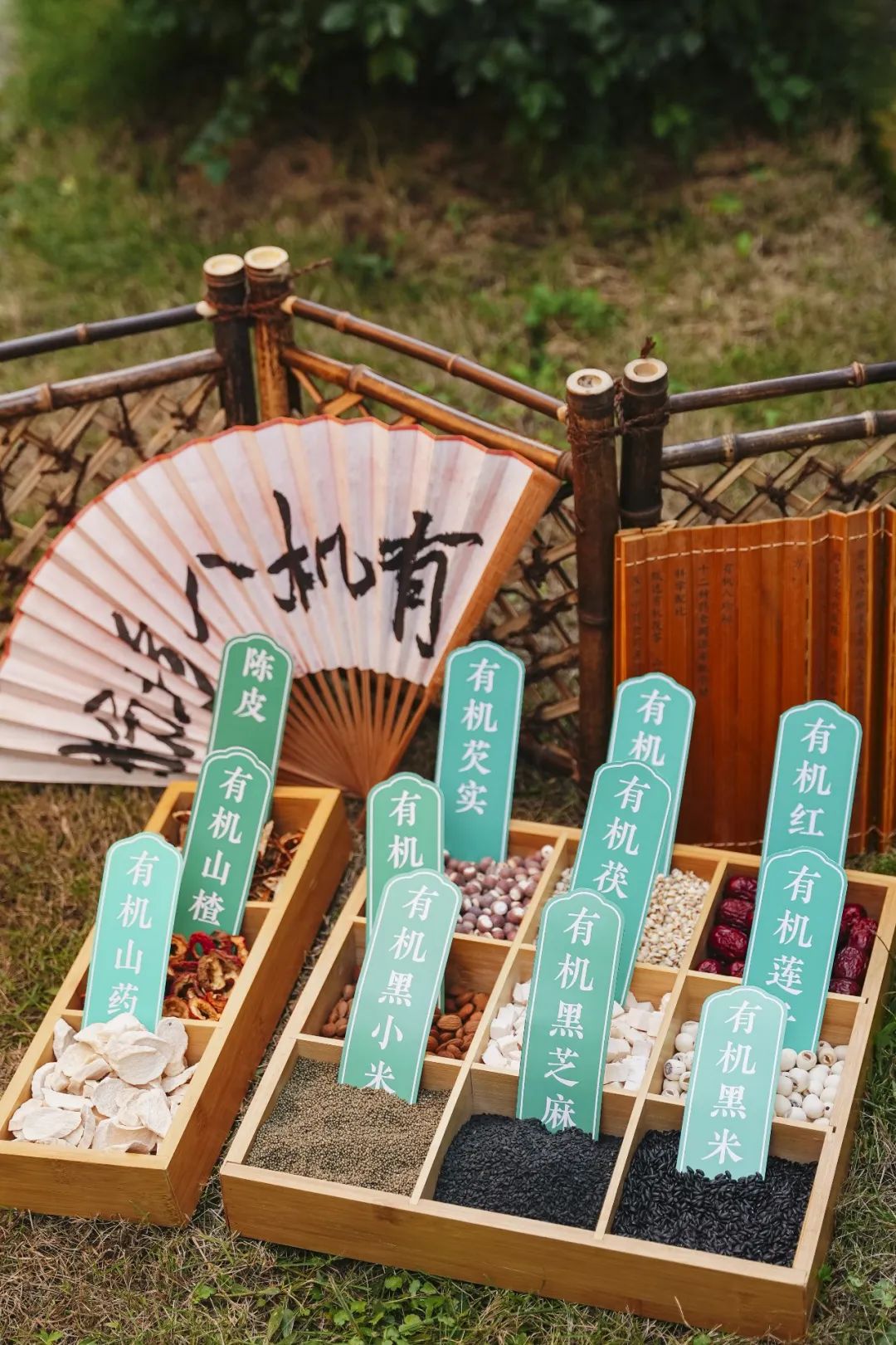 图片[13]-今日主推 | 有机大麦苗青汁粉&有机八珍粉 2024年12月2日中午12点-远方好物 - 有机食品与健康生活专家