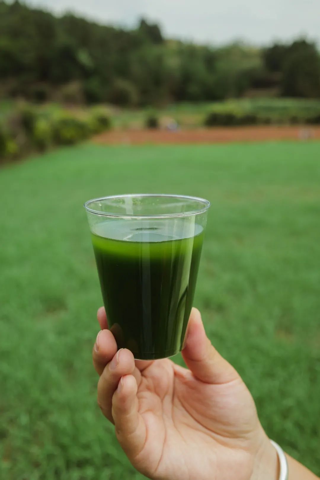 图片[3]-今日主推 | 有机大麦苗青汁粉&有机八珍粉 2024年12月2日中午12点-远方好物 - 有机食品与健康生活专家