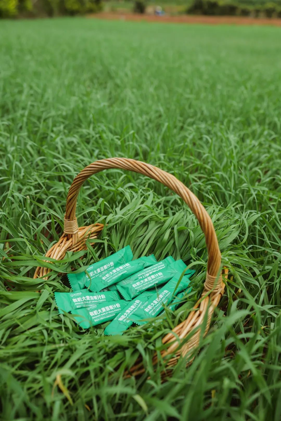 图片[6]-今日主推 | 有机大麦苗青汁粉&有机八珍粉 2024年12月2日中午12点-远方好物 - 有机食品与健康生活专家