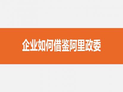 04企业如何借鉴阿里政委