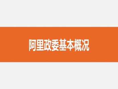 02阿里政委基本概况