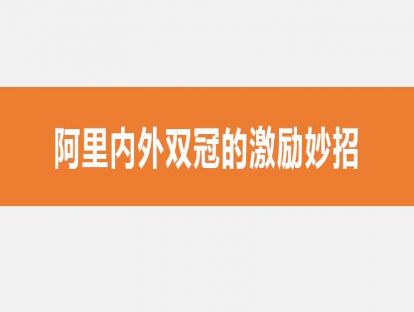 05阿里内外双冠的激励妙招