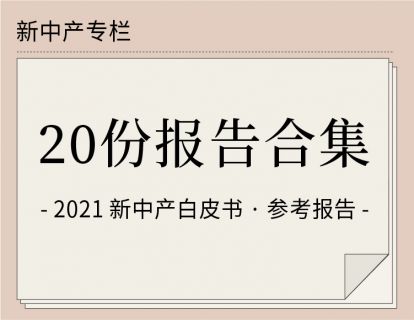 【20份报告领取】：新中产白皮书参考报告大礼包