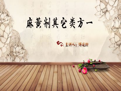 05.傅延龄：经方麻黄剂的理论与临床应用-麻黄剂其它类方一