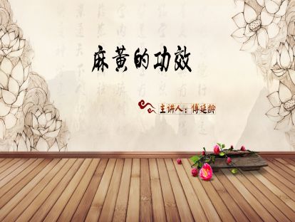 02.傅延龄：经方麻黄剂的理论与临床应用-麻黄的功效