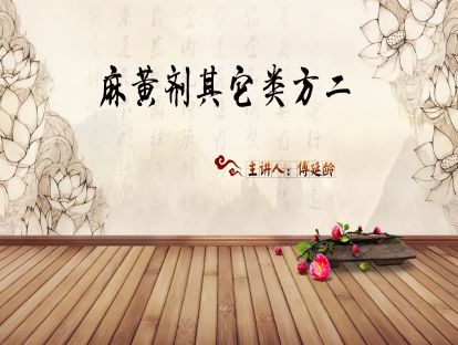06.傅延龄：经方麻黄剂的理论与临床应用-麻黄剂其它类方二