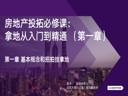 1. 第一章 基本概念和招拍挂拿地中的法律问题