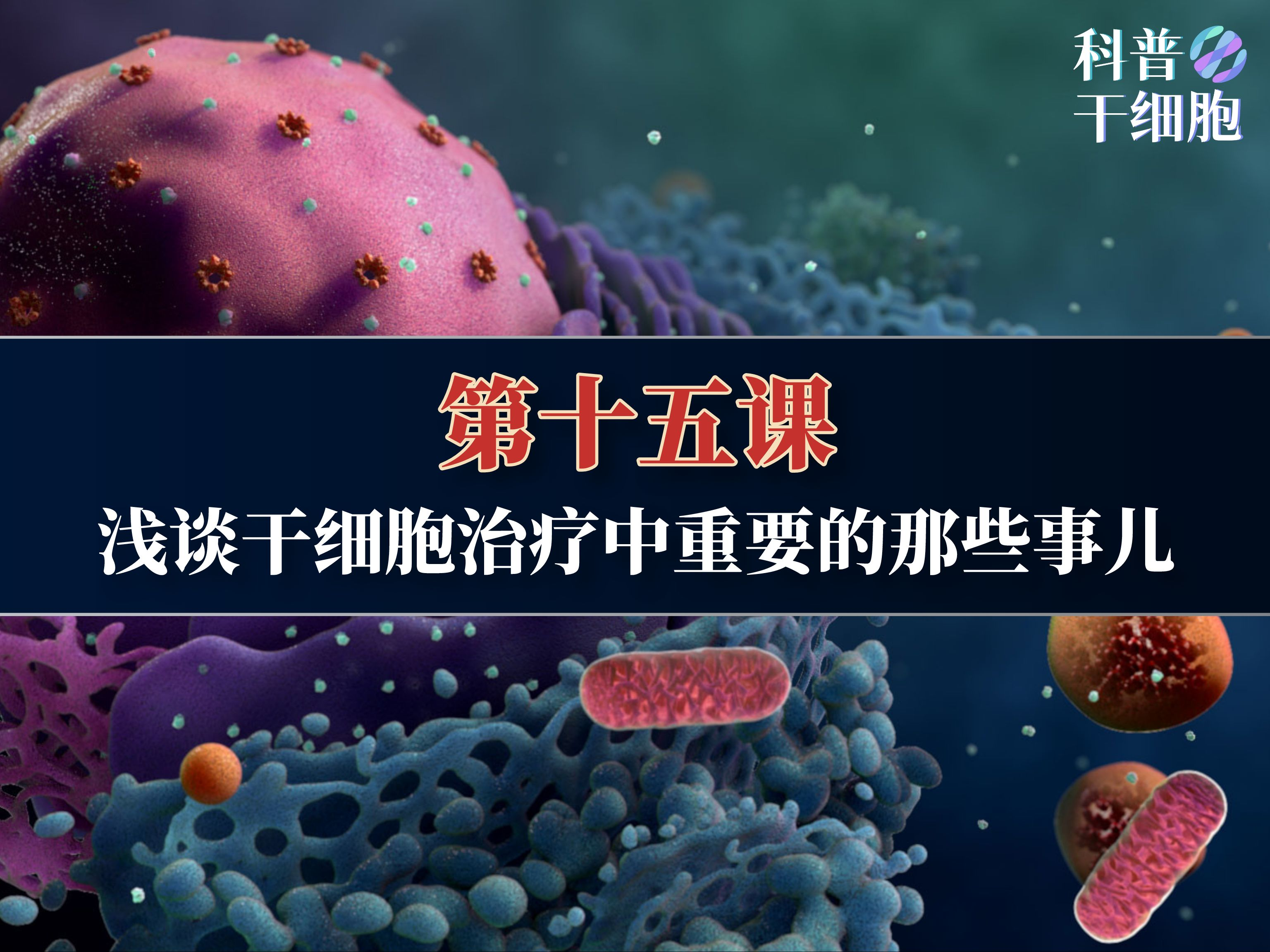 【第十五课】——浅谈干细胞治疗中重要的那些事儿