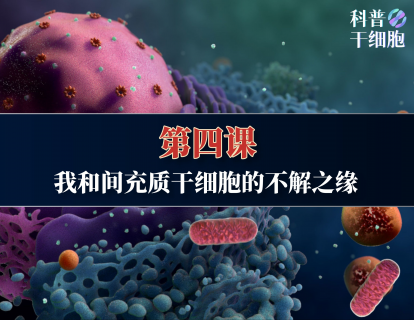 【第四课】——我和间充质干细胞的不解之缘