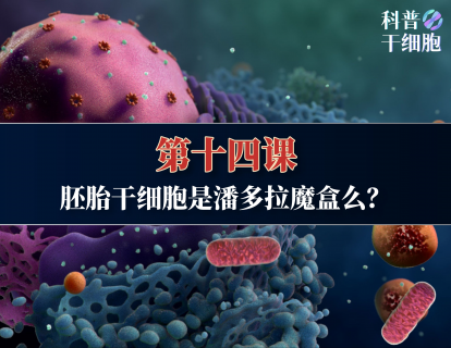 【第十四课】——胚胎干细胞是潘多拉魔盒么？