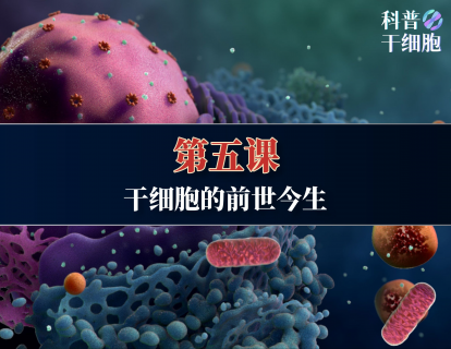 【第五课】——干细胞的前世今生