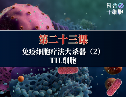 【第二十三课】——免疫细胞疗法大杀器（2）：TIL细胞
