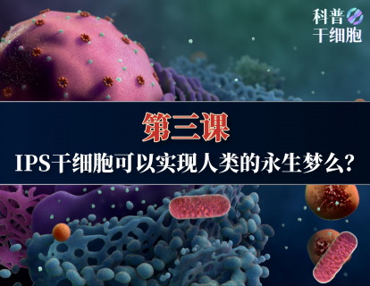 【第三课】——IPS 干细胞可以实现人类的永生梦么？