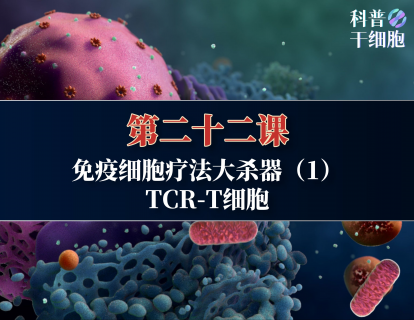 【第二十二课】——免疫细胞疗法大杀器（1）：TCR-T细胞