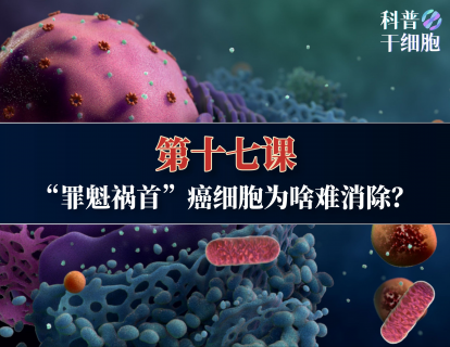 【第十七课】——“罪魁祸首”癌细胞为啥难消除？