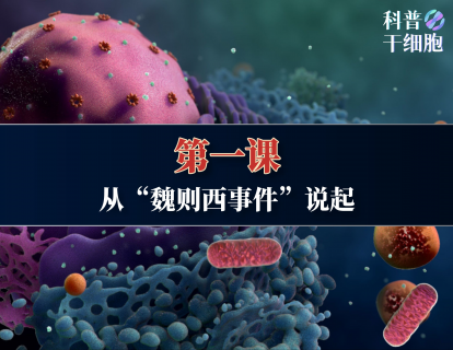 【第一课】——从“魏则西事件”说起