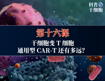 【第十六课】——干细胞变T细胞，通用型CAR-T还有多远？