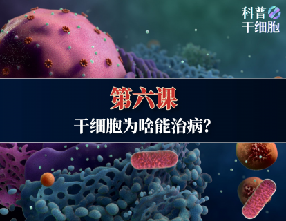 【第六课】——干细胞为啥能治病？