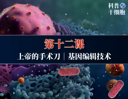 【第十二课】——上帝的手术刀｜基因编辑技术
