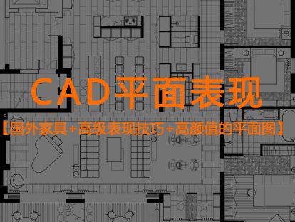 22，十分钟学会国际高端CAD平面表现