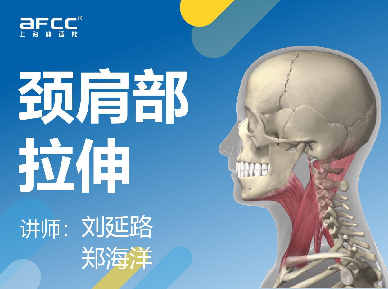 颈肩部拉伸