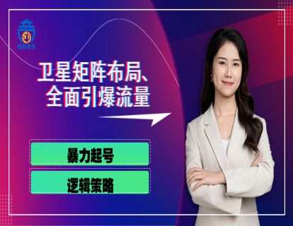 第四章06 暴力起号逻辑策略