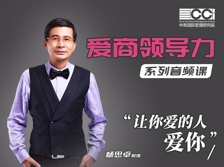 爱商领导力初阶版（下）