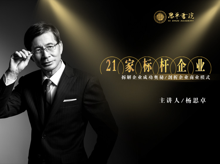 《21家标杆企业》——拆解企业成功奥秘，剖析企业商业模式