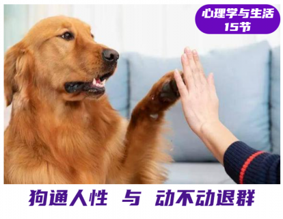 第7课 狗通人性与动不动退群