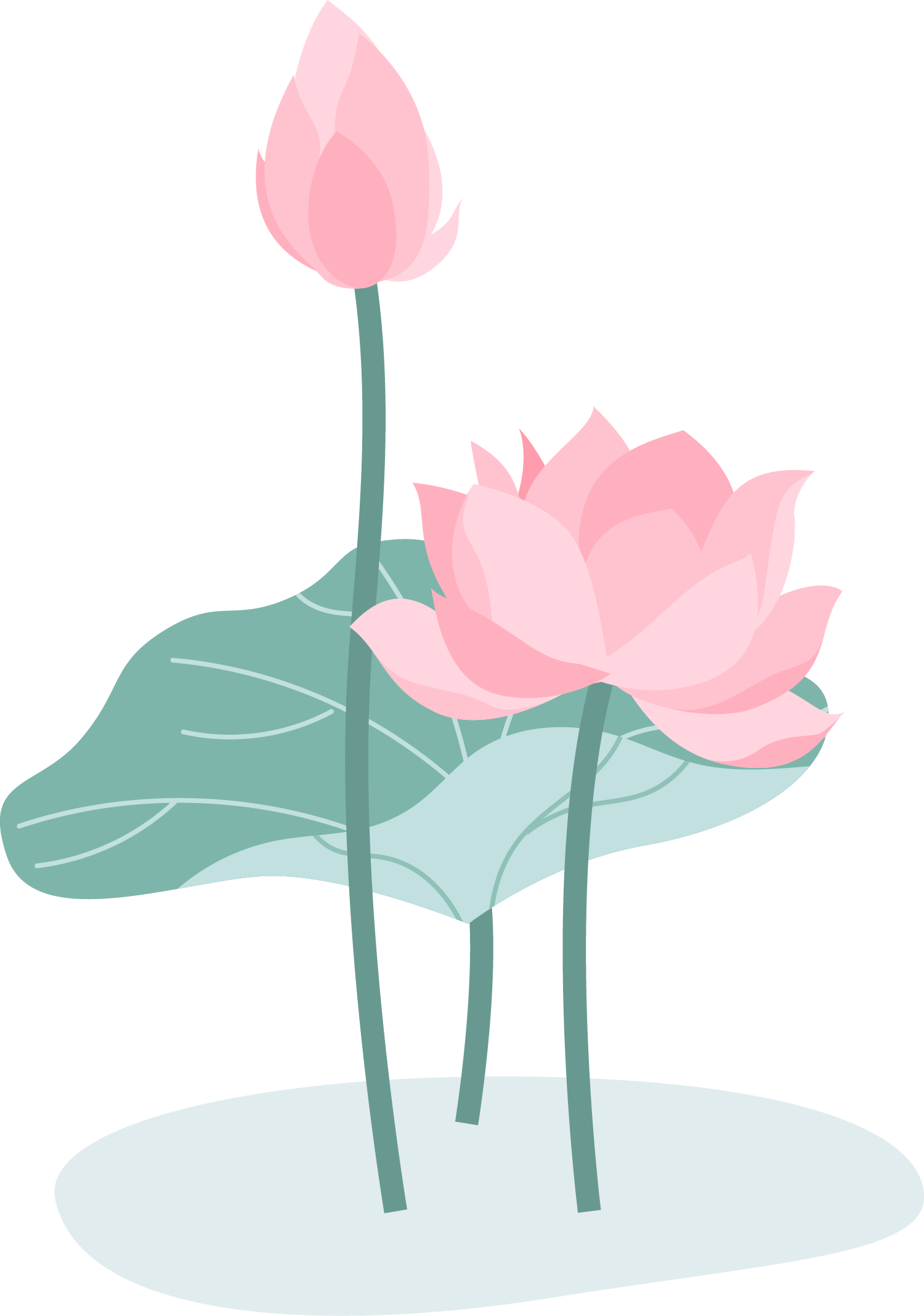 零基础实战课