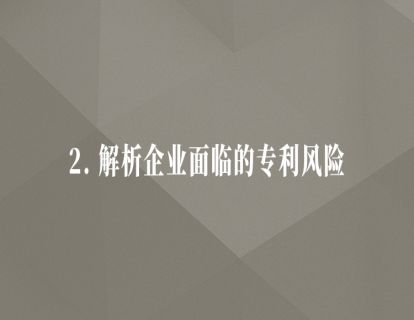 2.解析企业面临的专利风险