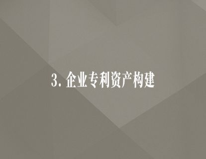 3.企业专利资产构建