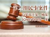 模拟法庭第二组-民事案件：杨某诉隋某、尚某民间借贷合同纠纷案