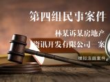 模拟法庭第四组-民事案件：林某诉某房地产资讯开发有限公司一案