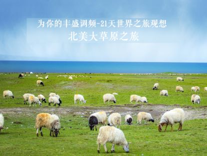 21天世界之旅观想4--北美大草原之旅