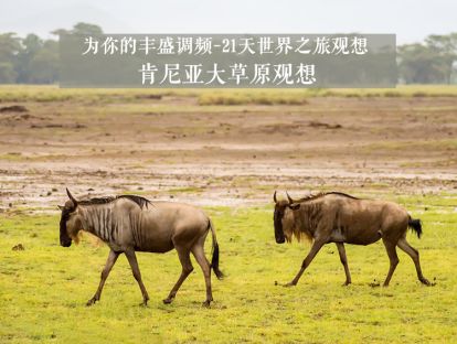 21天世界之旅观想18--肯尼亚大草原观想