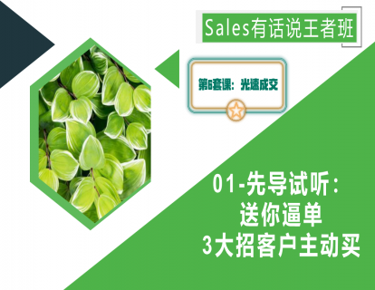 第6套-光速成交试听课： 送你逼单3大招客户主动买