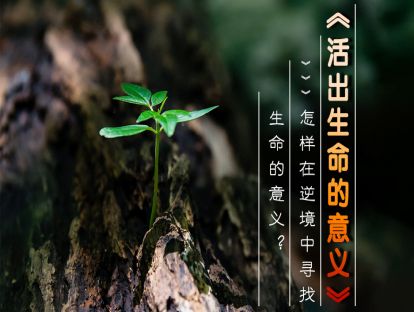 13、《活出生命的意义》怎样在逆境中寻找生命的意义？