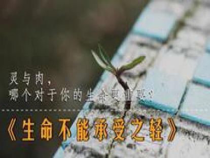 22、《生命不能承受之轻》灵与肉，哪个对于你的生命更重要？