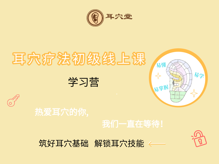 耳穴疗法初级学习营