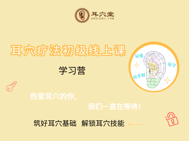 耳穴疗法初级学习营