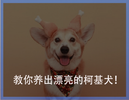 试看