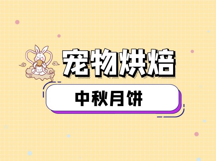 宠物烘焙课程~ 中秋月饼制作