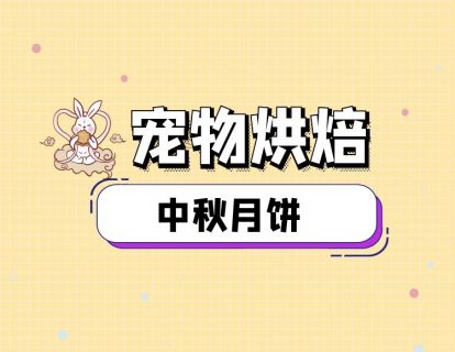 宠物中秋月饼制作视频课程